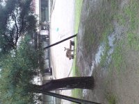 DSC00179.JPG